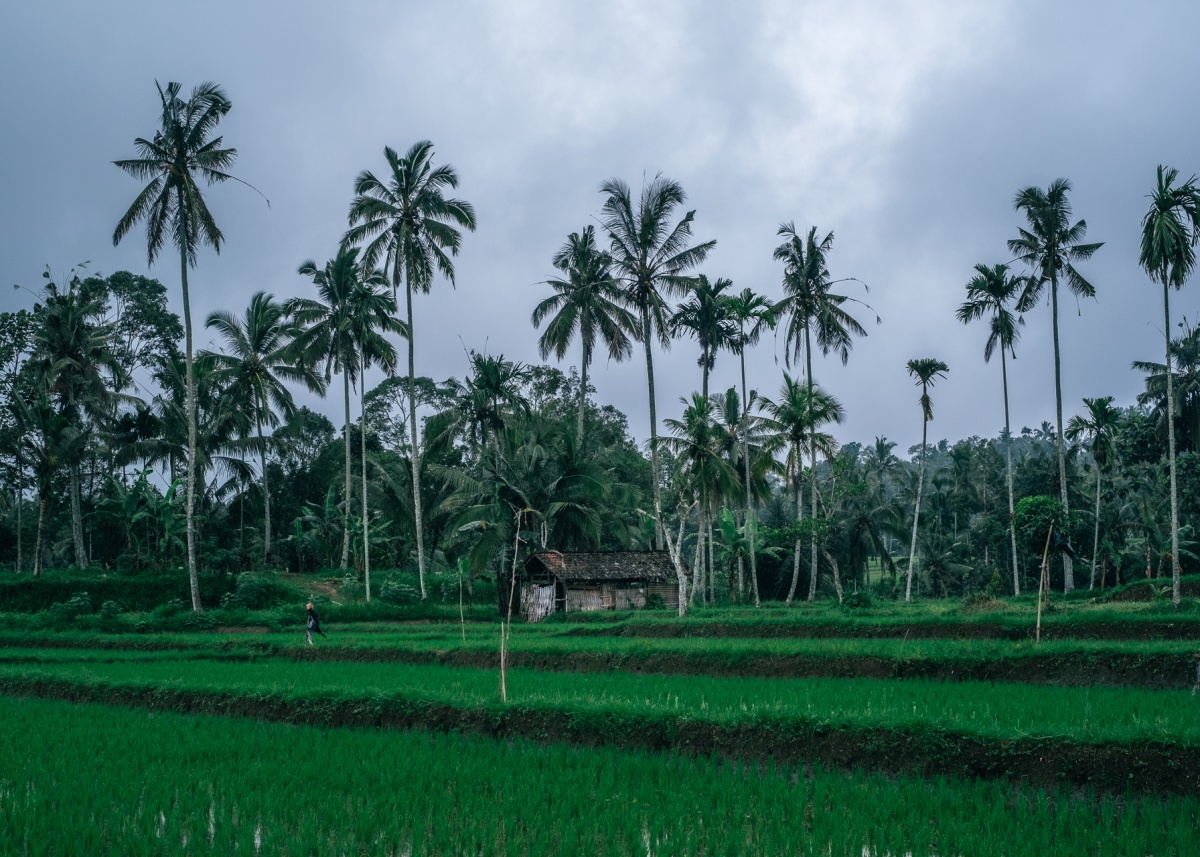 How's The Serenity? Why Greenhost Boutique Hotel in Yogyakarta is Our Haven