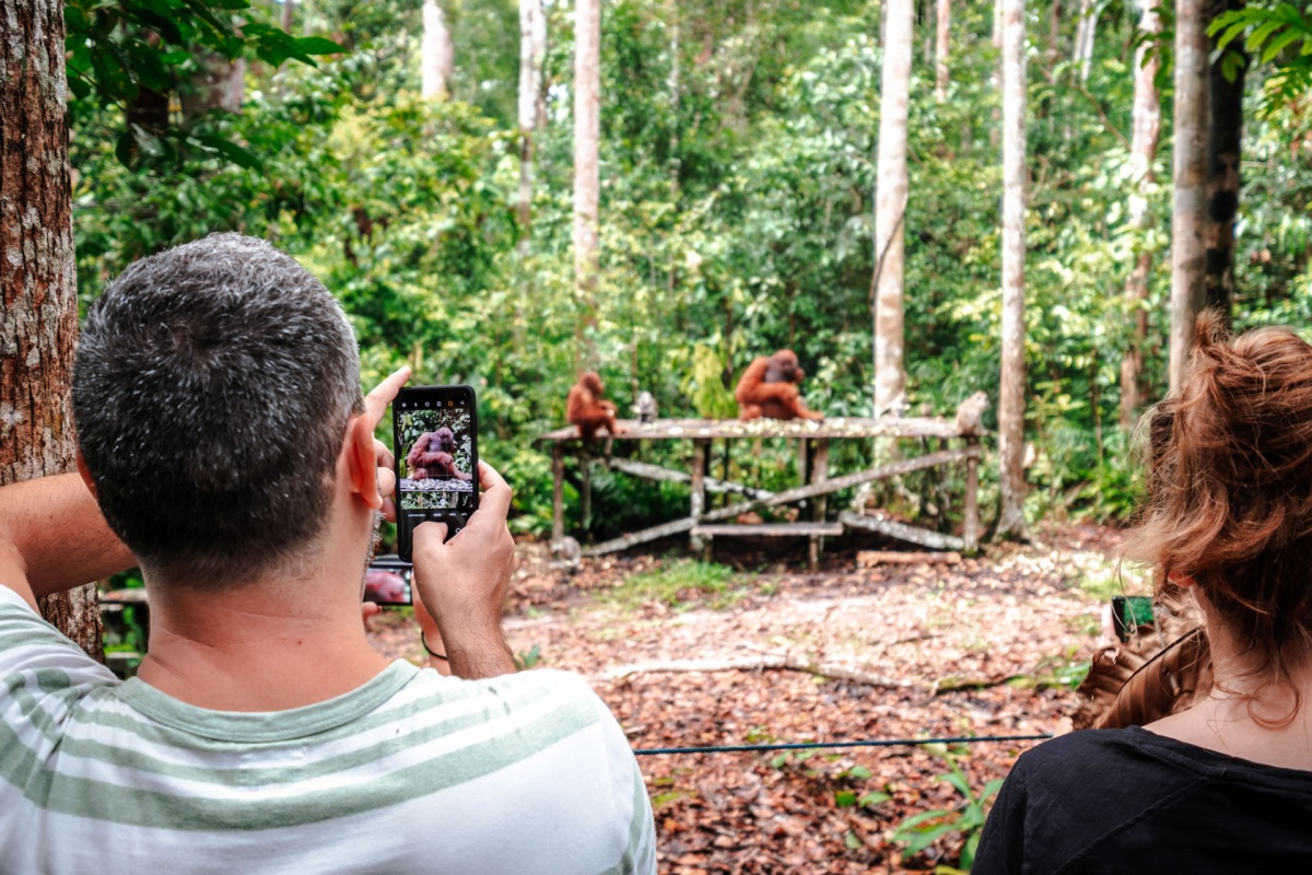 Photography in the Jungle