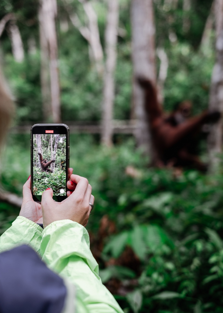 Photography in the Jungle