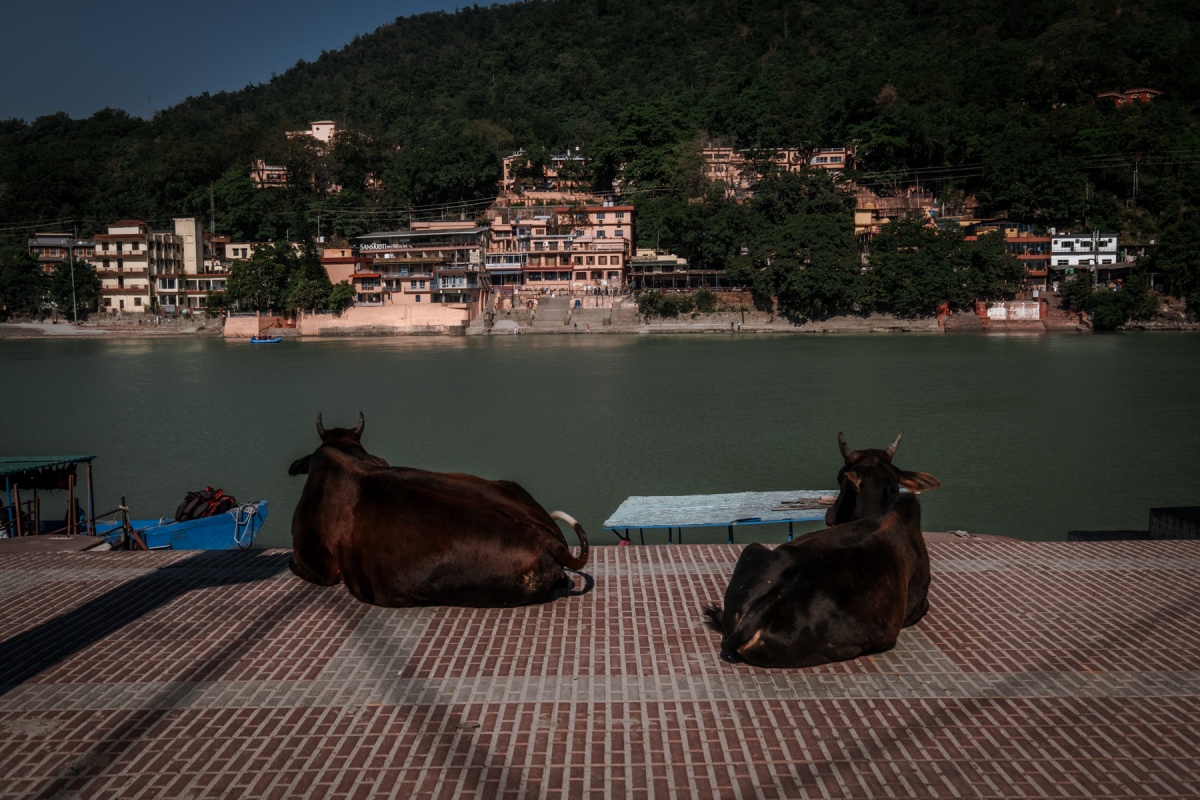 Rishikesh - Eat Pray Love 3.0